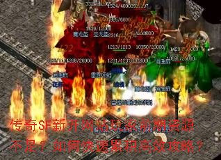 ����SF�¿���վ���ǰ����Դ���㣿��ο����ۻ���Ч���ԣ�