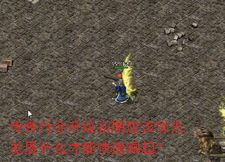 �����л���������Ӧ�����ȷ�չʲô���ܿ�������
