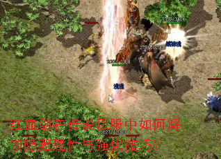 ��Ѫ���ڴ�˵˽������ν�������������ǿ�����ɣ�