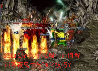 ��Ѫ���ڴ�˵˽������ν�������������ǿ�����ɣ�