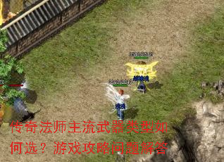 ���淨ʦ���������������ѡ����Ϸ����������