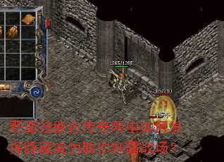 Ұ�������ڴ���������η����������������ư�ս����