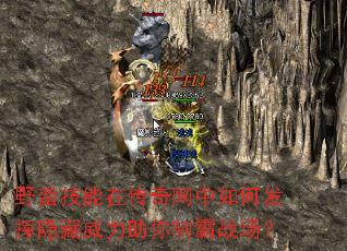 Ұ�������ڴ���������η����������������ư�ս����
