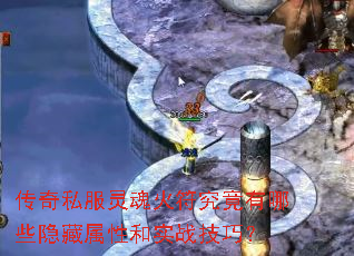 ����˽���������������Щ�������Ժ�ʵս���ɣ�