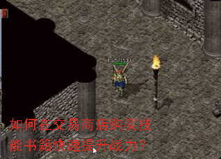 ����ڽ����̵깺�����鼮��������ս����