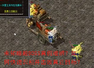 δ֪����BOSS����ѱ棿��ο���ʶ�𲢻�������Ŀ�ꣿ