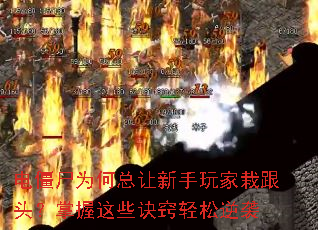 电僵尸为何总让新手玩家栽跟头?掌握这些诀窍轻松逆袭 电僵尸为何总让新手玩家栽跟头?掌握这些诀窍轻松逆袭
