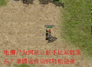 电僵尸为何总让新手玩家栽跟头?掌握这些诀窍轻松逆袭 电僵尸为何总让新手玩家栽跟头?掌握这些诀窍轻松逆袭