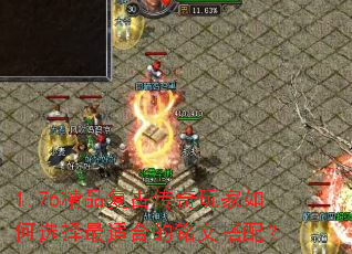 1.76��Ʒ���Ŵ���������ѡ�����ʺϵ����Ĵ��䣿
