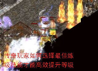 ����������ѡ������������ܲ��ܸ�Ч�����ȼ�