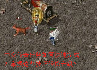 �б䴫��������ο�����ɣ�������Щ��������������