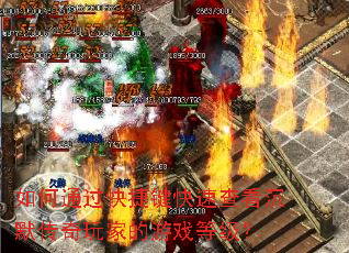 ���ͨ����ݼ����ٲ鿴��Ĭ������ҵ���Ϸ�ȼ���