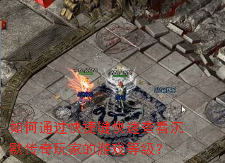 ���ͨ����ݼ����ٲ鿴��Ĭ������ҵ���Ϸ�ȼ���