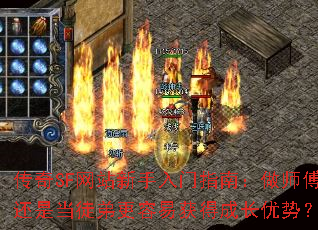 ����SF��վ��������ָ�ϣ���ʦ�����ǵ�ͽ�ܸ����׻�óɳ����ƣ�