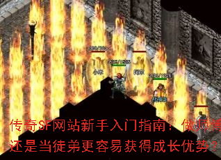 ����SF��վ��������ָ�ϣ���ʦ�����ǵ�ͽ�ܸ����׻�óɳ����ƣ�