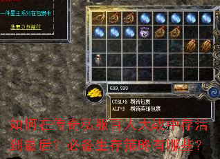 ����ڴ���˽�����˴�ս�д���󣿱ر������������Щ��