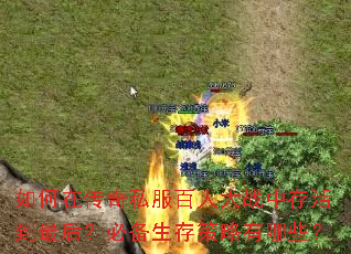 ����ڴ���˽�����˴�ս�д���󣿱ر������������Щ��