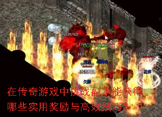 �ڴ�����Ϸ����ս�����ܻ����Щʵ�ý������Ч���ɣ�