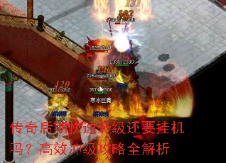 ������ڿ���������Ҫ�һ��𣿸�Ч�弶����ȫ����