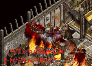 ���������ο����ҵ����þ����ˢ�µص㣿