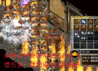 ����ڴ���SF�з������߷���������ϸ����ָ�Ͻ���