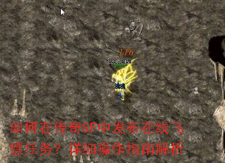 ����ڴ���SF�з������߷���������ϸ����ָ�Ͻ���
