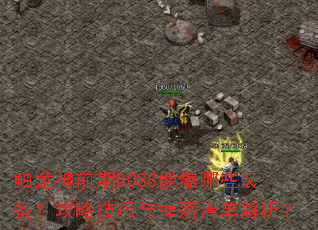 ������ǰ��BOSS�ܱ���Щװ�������Լ���������嵥������