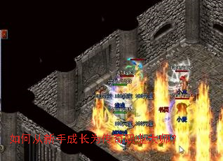 ��δ����ֳɳ�Ϊ����ְҵ��ʦ��