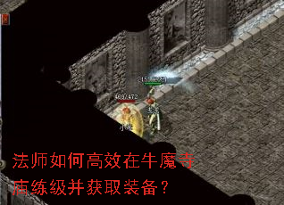 ��ʦ��θ�Ч��ţħ������������ȡװ����