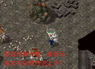 ���¾��䴫�棬����˽��������ο������֣�