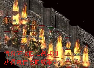 ����SF��Ѫ֮����λ�������ѪЧ����