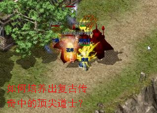 如何培养出复古传奇中的顶尖道士? 如何培养出复古传奇中的顶尖道士?