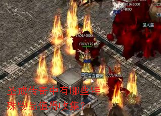 ʥ�䴫��������Щ������Ʒֵ���ռ���