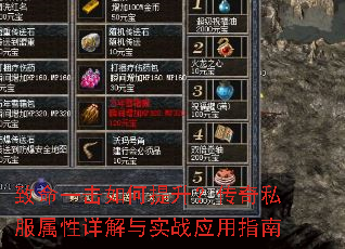 ����һ���������������˽�����������ʵսӦ��ָ��