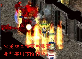 �����汾����˽������Щʵ�ù��Լ��ɣ�