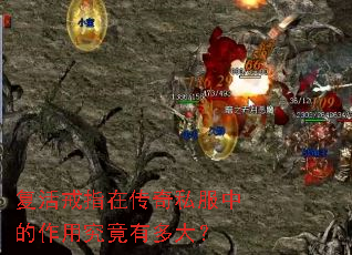 �����ָ�ڴ���˽���е����þ����ж��