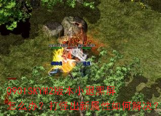 0901SKYM2�汾С�˺�����ô�죿��ֳ���������ν����