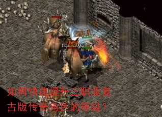 ��ο���������ְҵ���Ű洫���ɫ�ĵȼ���