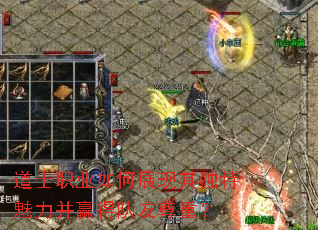 ��ʿְҵ���չ�������������Ӯ�ö������أ�