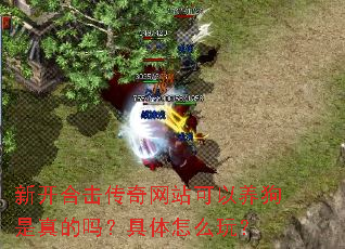 �¿��ϻ�������վ��������������𣿾�����ô�棿