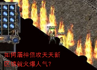 ������񱶹������������ͻ�������