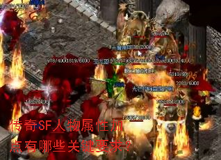 ����SF�������Լӵ�����Щ�ؼ�Ҫ��