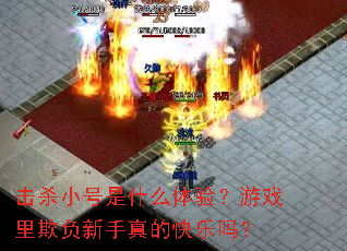 ��ɱС����ʲô���飿��Ϸ���۸�������Ŀ�����