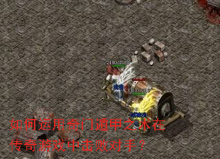 ����������Ŷݼ�֮���ڴ�����Ϸ�л��ܶ��֣�