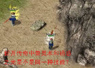 �¿����������������ջ�֮���ǲ���ͬһ�ּ��ܣ�