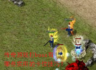 ������Ϸ��boss����Щʵ�õĿ�λ���ɣ�