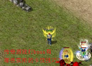 ������Ϸ��boss����Щʵ�õĿ�λ���ɣ�