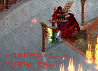 ������չ�������Ū��ʦ����ǿ�ռ����ܣ�