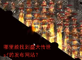 �������ҵ�ʢ����sf�ķ�����վ��