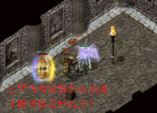���紫�������ô�������ܿ�������ս����